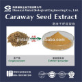 high quality 10:1 20:1 organic caraway seed extract